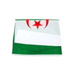 drapeau algerie palestine 5