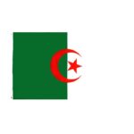 drapeau algerie palestine 6