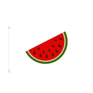 Drapeau Palestine Pasteque 4