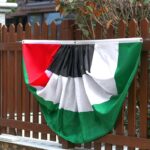 drapeau palestine rond 3