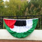drapeau palestine rond 4