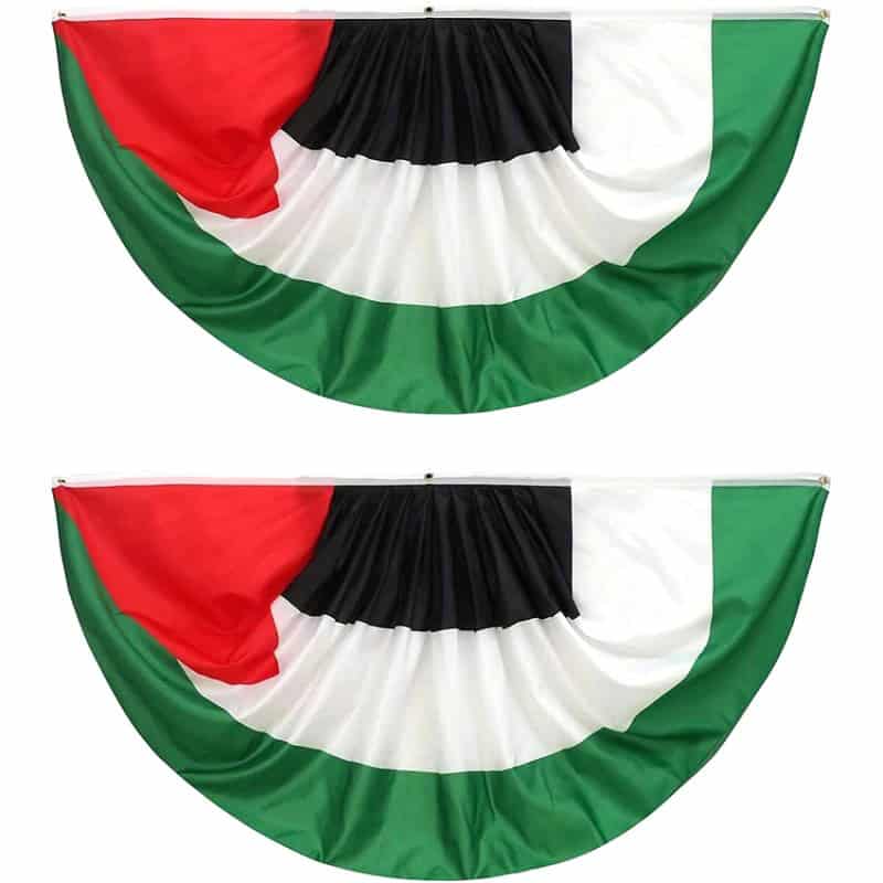 drapeau palestine rond 5