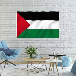 drapeau palestine soutien 5