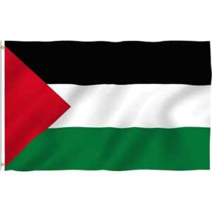 drapeau palestine soutien 6