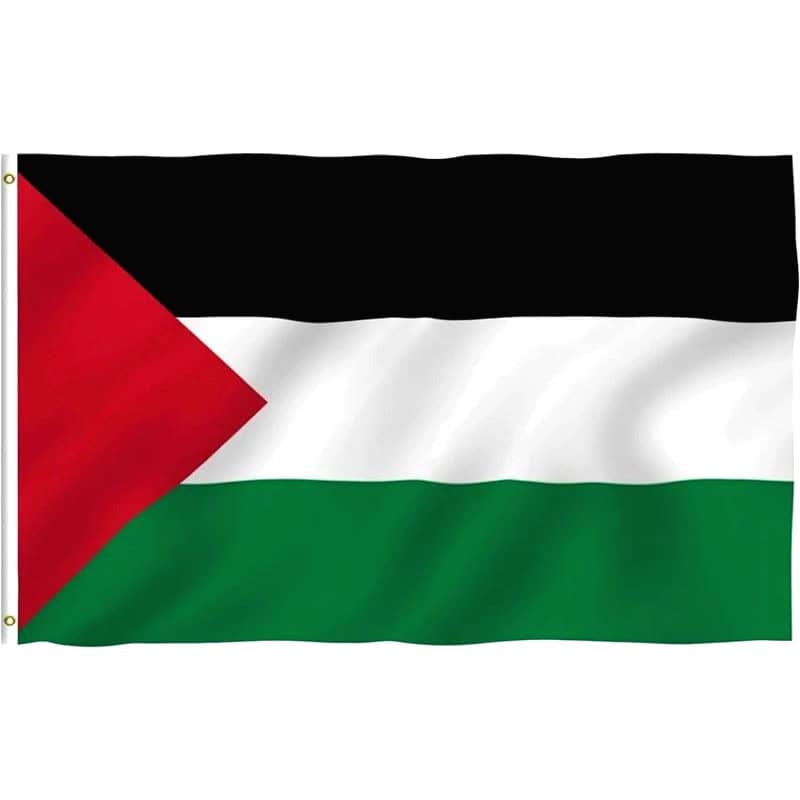 drapeau palestine soutien 6
