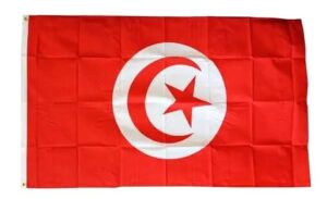 drapeau tunisie palestine