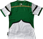 maillot algerie palestine