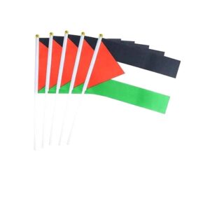 Petit Drapeau Palestine 5