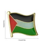 pins palestine 2