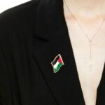 pins palestine 4