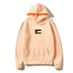 pull drapeau palestine 2