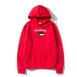 pull drapeau palestine 6