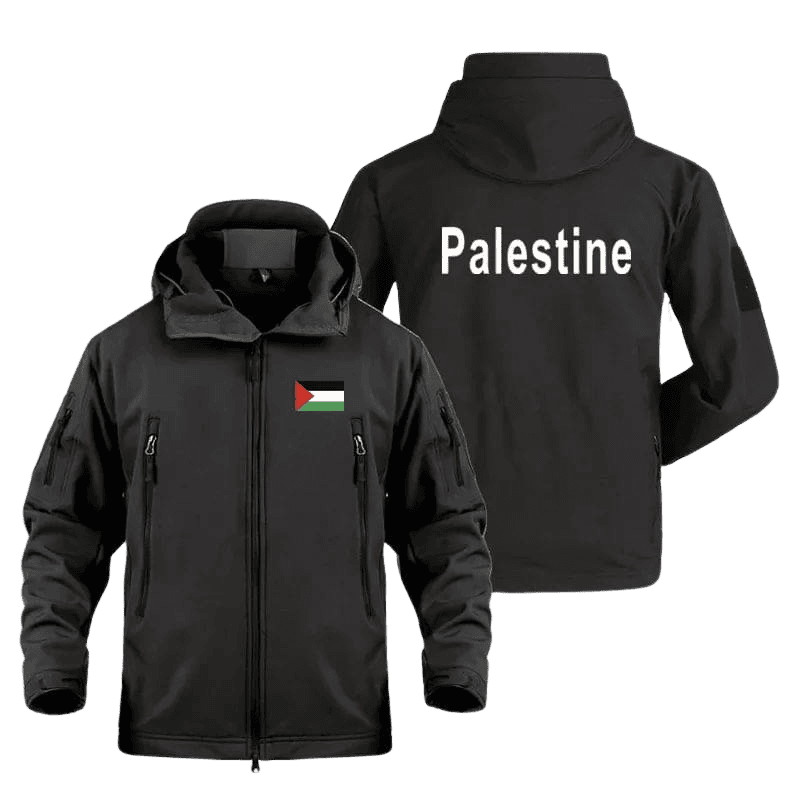 la france reconnait letat de palestine enjeux reactions et perspectives