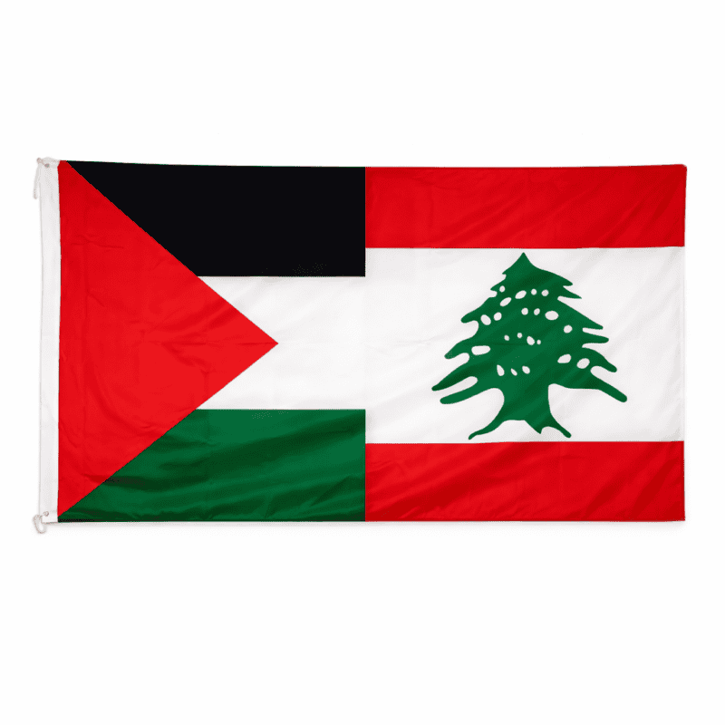 Drapeau Liban Palestine
