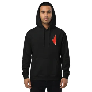 Pull Pasteque Palestine porté – vue 3